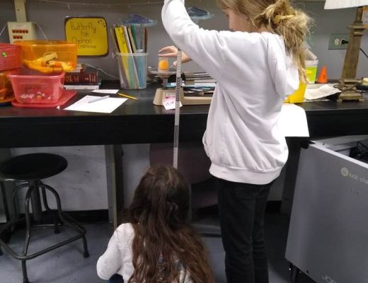 Students Measuring