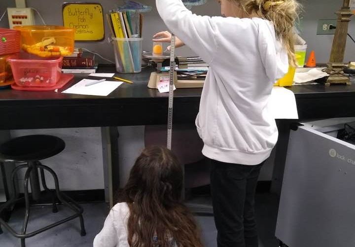 Students Measuring